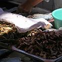 Peru 0452